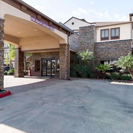 Comfort Suites Lake Jackson Clute Dış mekan fotoğraf